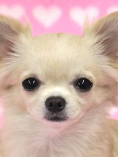 ご利用は計画的に♪